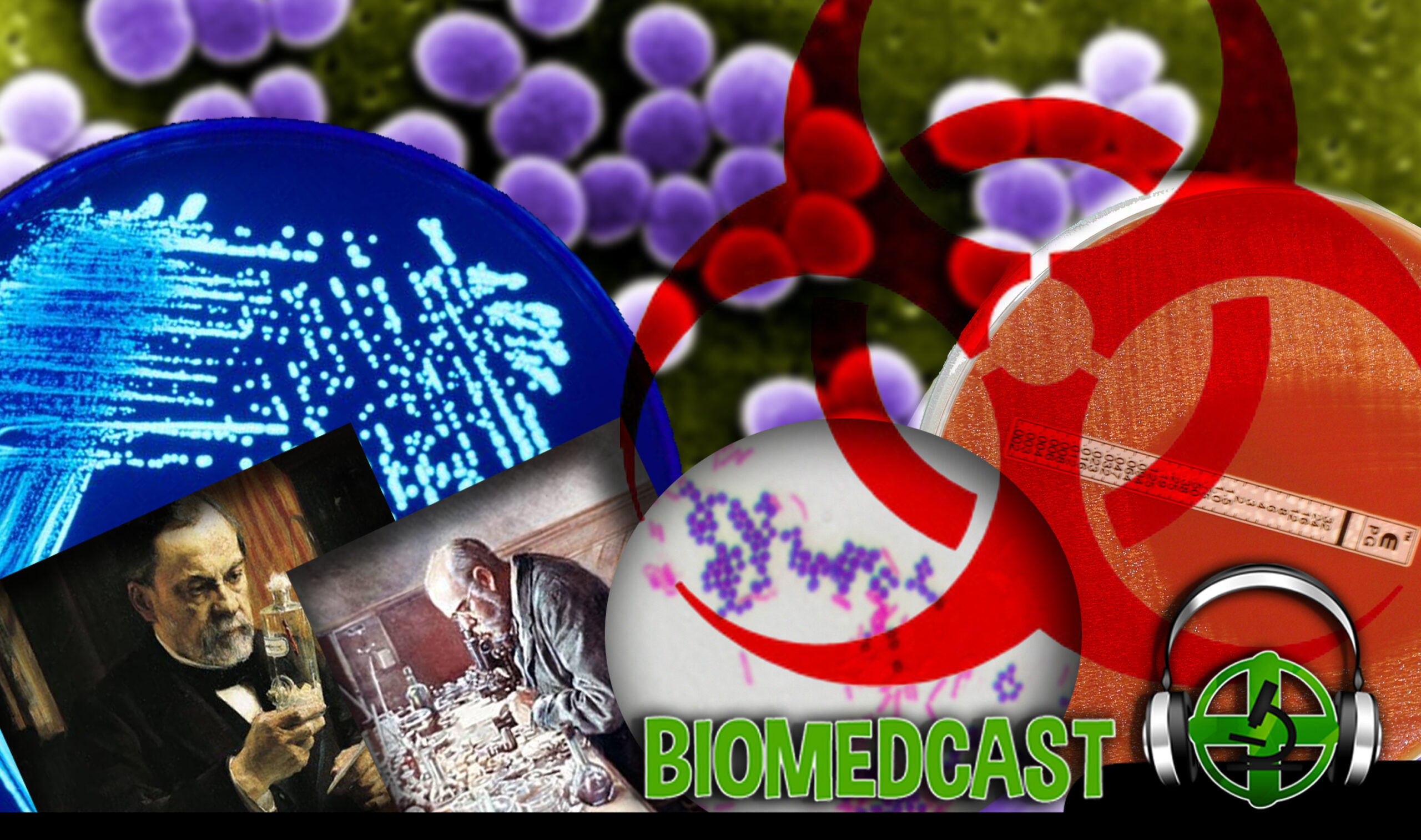 #23 O Universo Microscópico: Bactérias