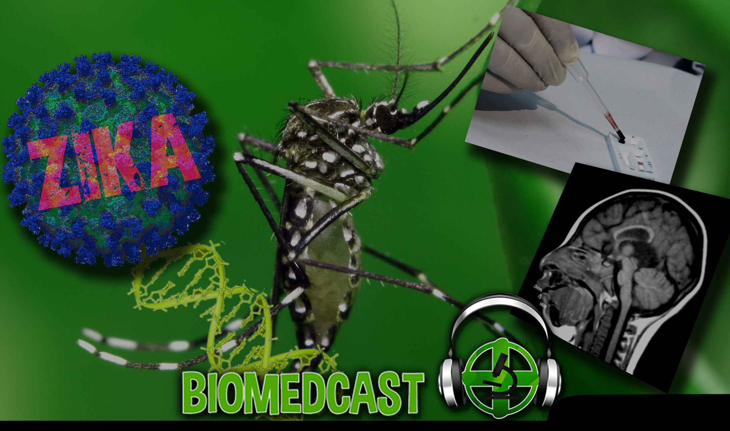 #28 Que Zika é essa?!