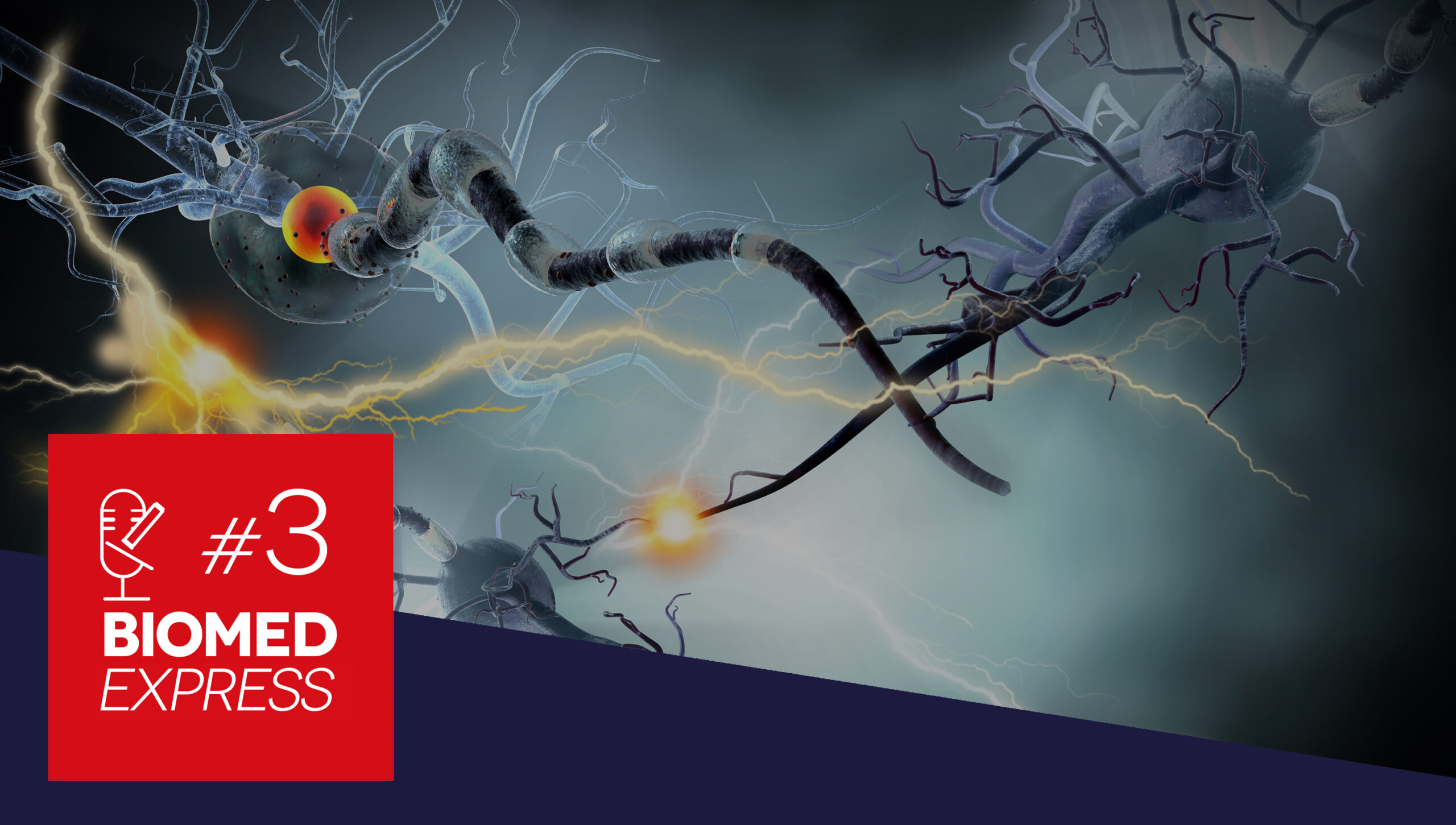 #3 Biomed Express – Descoberto Gene envolvido com a Esclerose Múltipla