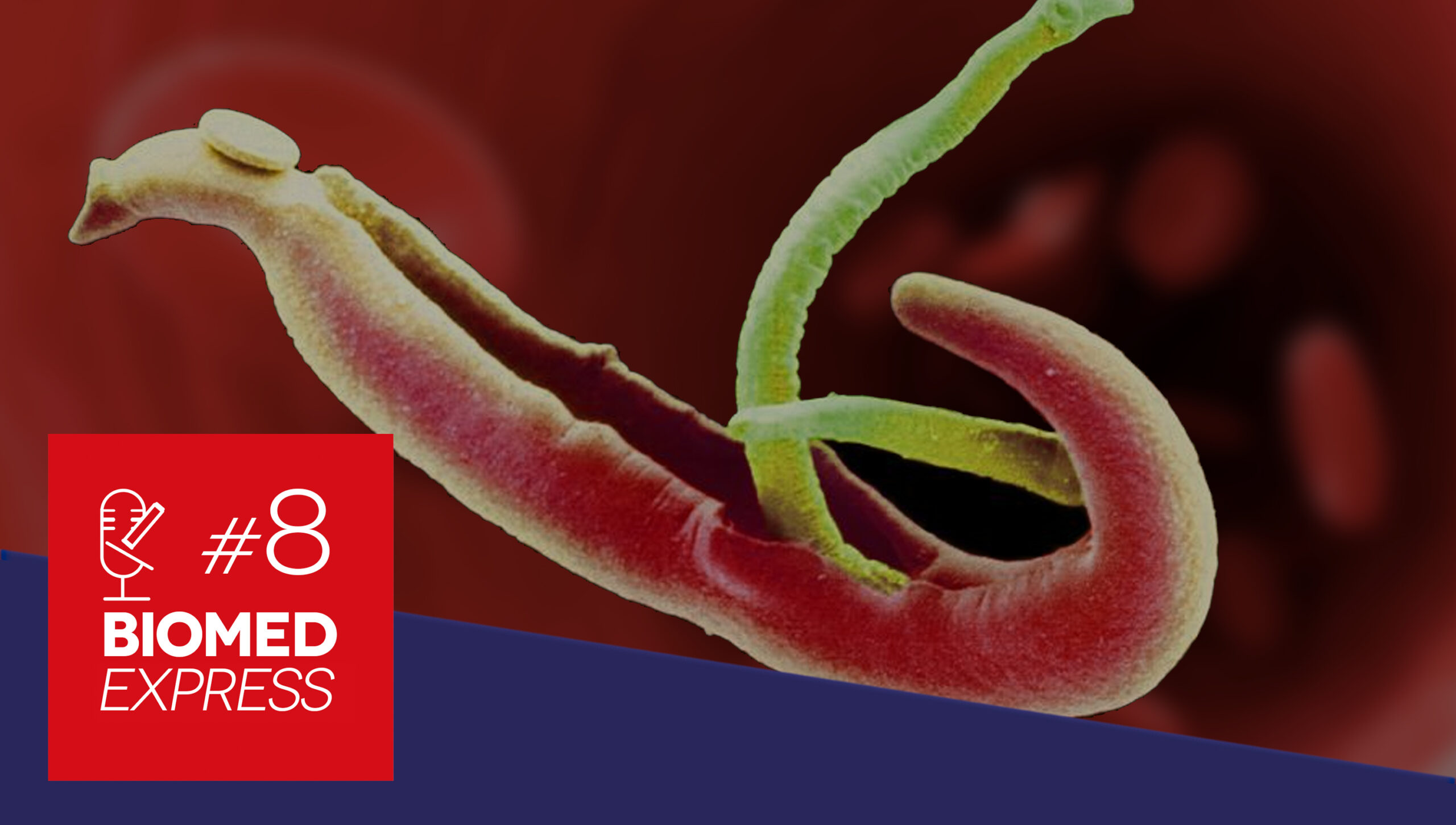 #8 Biomed Express – Vacina Brasileira para Prevenção da Esquistossomose