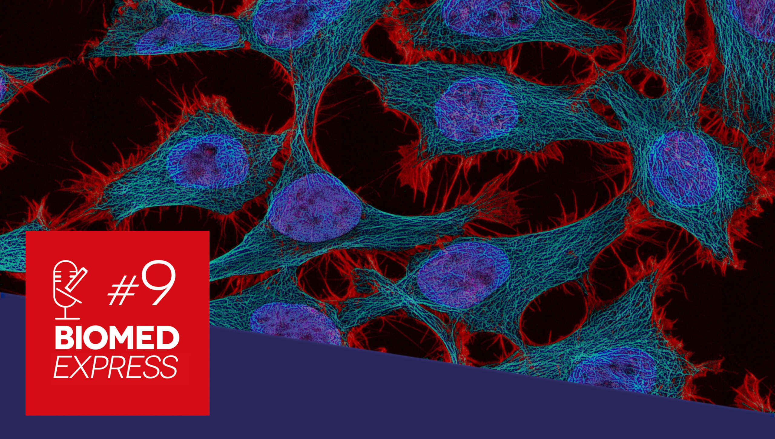 #9 Biomed Express – Imortalidade Biológica