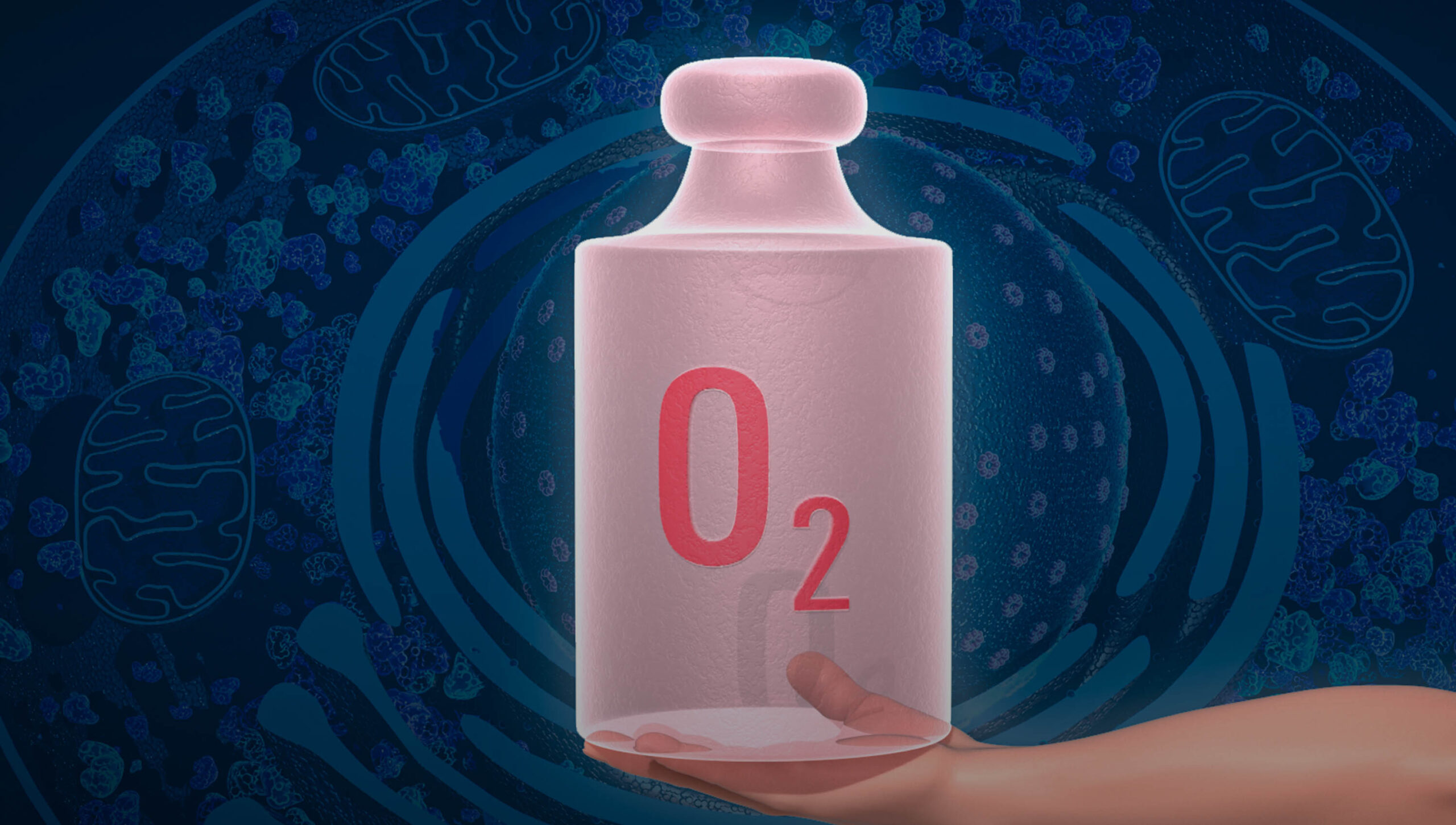 #97 Prêmio Nobel de Fisiologia ou Medicina 2019